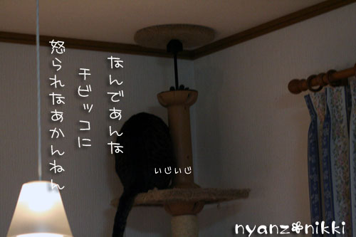 し、し、しまった・・・_d0355333_14160256.jpg
