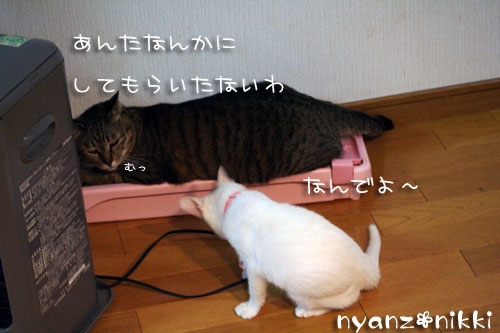 し、し、しまった・・・_d0355333_14160281.jpg