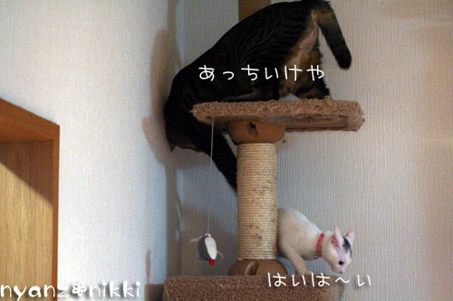 し、し、しまった・・・_d0355333_14160471.jpg
