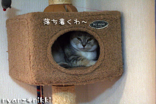 ふつ~の毎日 ^^;_d0355333_14161095.jpg