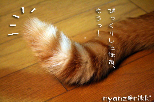 我が家のクリスマス_d0355333_14161120.jpg