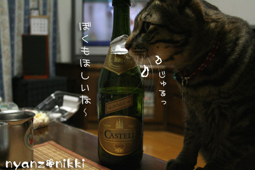 我が家のクリスマス_d0355333_14161253.jpg