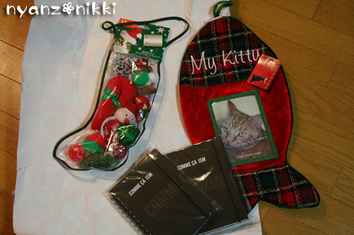 我が家のクリスマス_d0355333_14161301.jpg