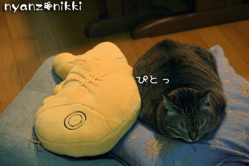 我が家のクリスマス_d0355333_14161495.jpg