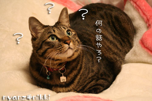 爆弾投下&のんび~りの冬_d0355333_14161610.jpg
