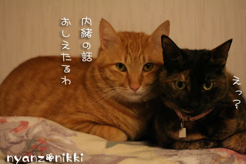 爆弾投下&のんび~りの冬_d0355333_14161695.jpg