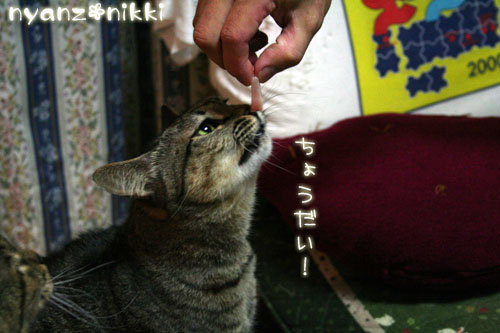 おさしみぱーてぃ_d0355333_14161803.jpg