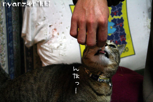 おさしみぱーてぃ_d0355333_14161893.jpg