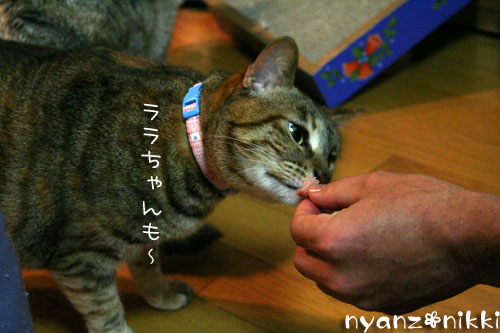 おさしみぱーてぃ_d0355333_14161965.jpg