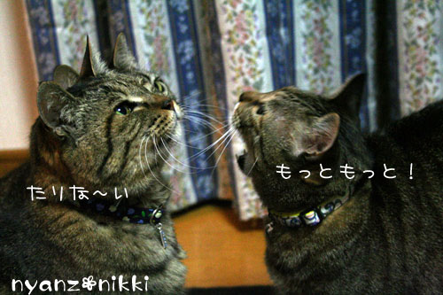 おさしみぱーてぃ_d0355333_14161967.jpg