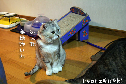 おさしみぱーてぃ_d0355333_14162096.jpg
