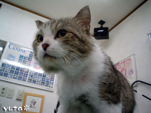 今年の総決算?!_d0355333_14162687.jpg