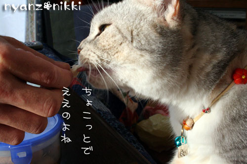 我が家のお正月_d0355333_14550709.jpg