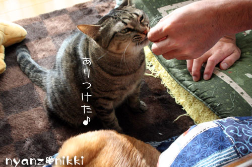 我が家のお正月_d0355333_14550732.jpg