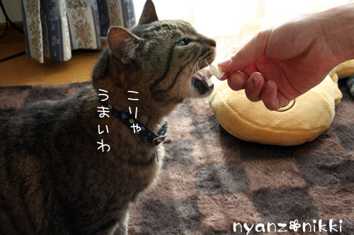 我が家のお正月_d0355333_14550814.jpg