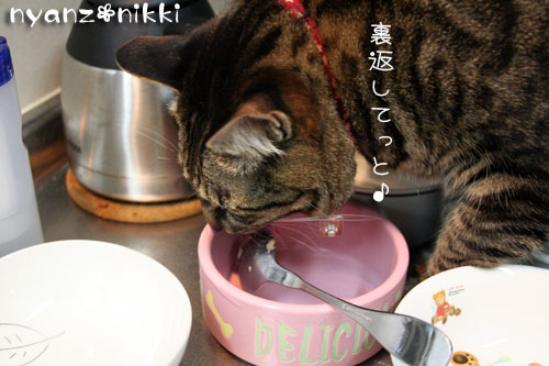 「オリテ」トレーニング完了♪_d0355333_14552143.jpg