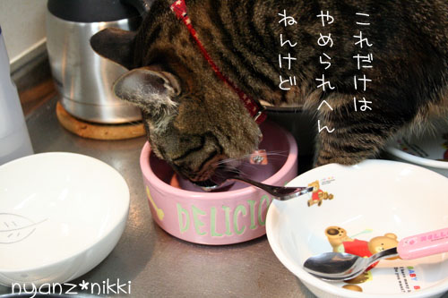 「オリテ」トレーニング完了♪_d0355333_14552156.jpg