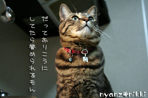 「オリテ」トレーニング完了♪_d0355333_14552167.jpg