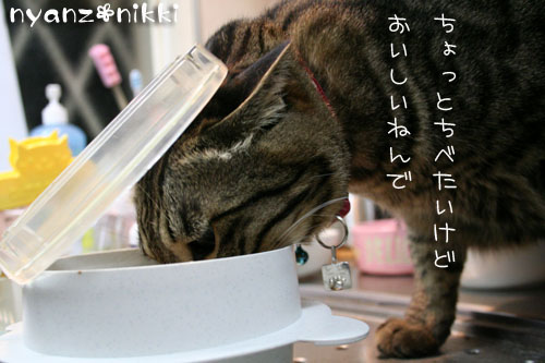 「オリテ」トレーニング完了♪_d0355333_14552196.jpg