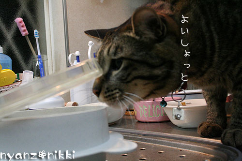 「オリテ」トレーニング完了♪_d0355333_14552199.jpg