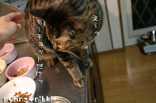 「オリテ」トレーニング完了♪_d0355333_14552220.jpg