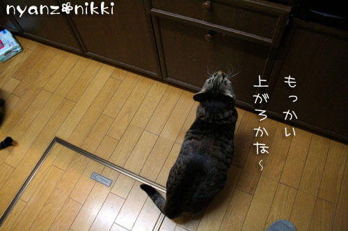 はよ、ご飯してえ~や_d0355333_14552334.jpg