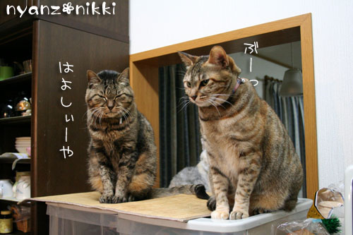 はよ、ご飯してえ~や_d0355333_14552410.jpg