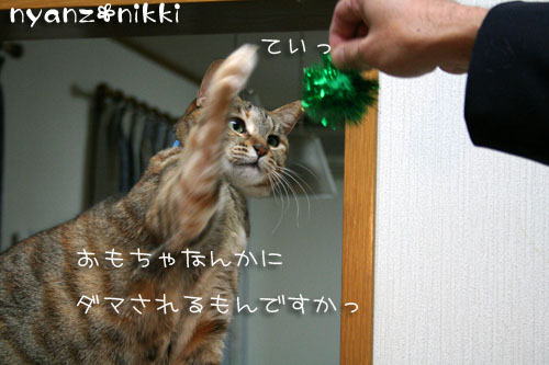 はよ、ご飯してえ~や_d0355333_14552530.jpg