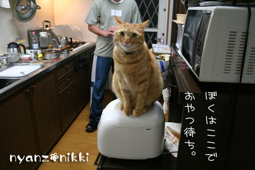 はよ、ご飯してえ~や_d0355333_14552621.jpg