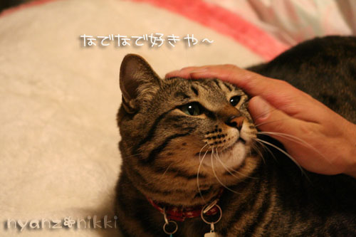 人体の不思議展&かつ丼吉兵_d0355333_14553556.jpg