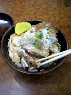 人体の不思議展&かつ丼吉兵_d0355333_14553594.jpg