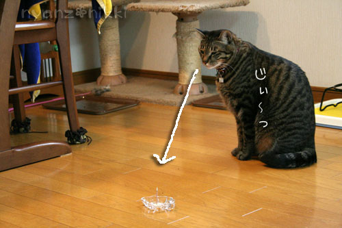 猫にも、お香_d0355333_14553639.jpg