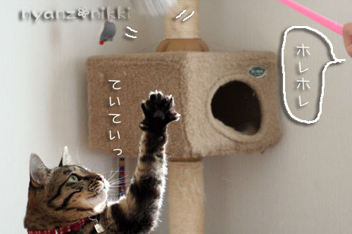 模様の変化・・・_d0355333_14553910.jpg