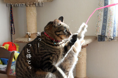 模様の変化・・・_d0355333_14553916.jpg