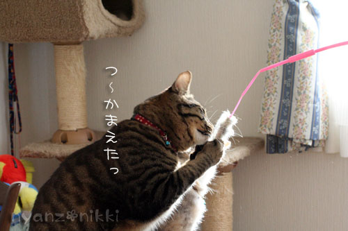 模様の変化・・・_d0355333_14553939.jpg