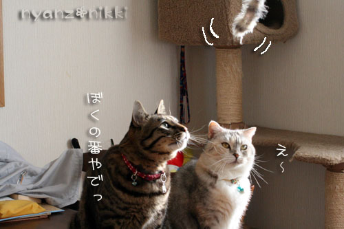 模様の変化・・・_d0355333_14553965.jpg