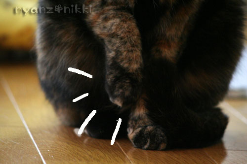 不思議ちゃん_d0355333_14554276.jpg