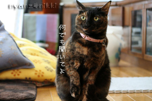 不思議ちゃん_d0355333_14554285.jpg