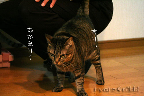 しりぺんスペース争い_d0355333_14554708.jpg