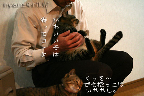 しりぺんスペース争い_d0355333_14554904.jpg