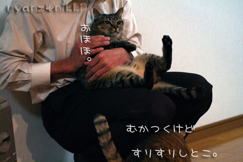 しりぺんスペース争い_d0355333_14554985.jpg