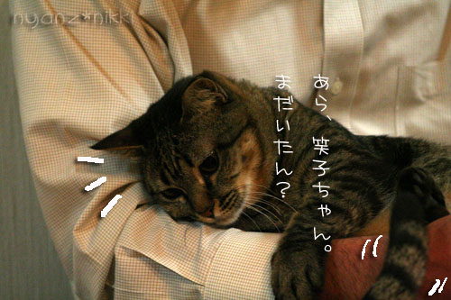 勝敗の行方は・・・&直木賞候補作!_d0355333_14555033.jpg
