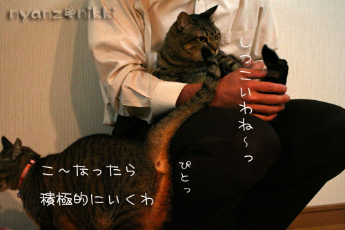 勝敗の行方は・・・&直木賞候補作!_d0355333_14555035.jpg