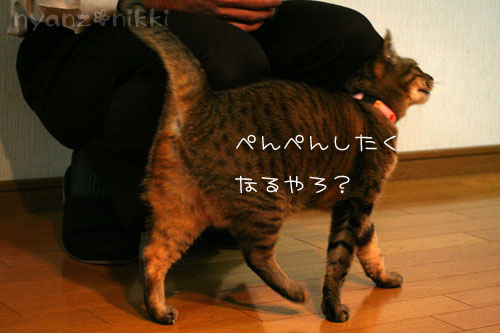 勝敗の行方は・・・&直木賞候補作!_d0355333_14555081.jpg