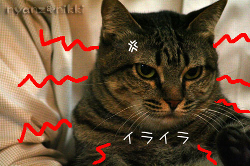 勝敗の行方は・・・&直木賞候補作!_d0355333_14555104.jpg