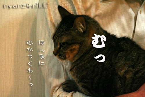勝敗の行方は・・・&直木賞候補作!_d0355333_14555130.jpg