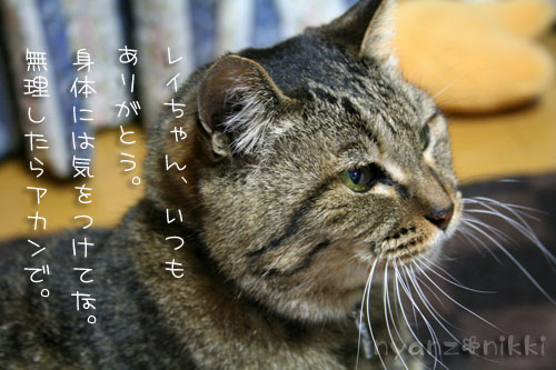地域猫活動★読売新聞に載る!_d0355333_14555301.jpg