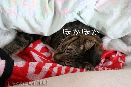 近況報告といい場所みっけ★_d0355333_14555896.jpg