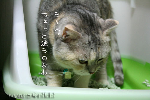 暗黙の了解・・・?_d0355333_14555912.jpg