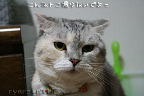 暗黙の了解・・・?_d0355333_14560008.jpg